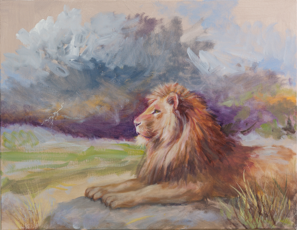 2013-5_lion1(13-5)